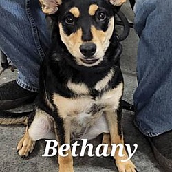 Photo of Bethany