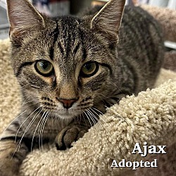Photo of Ajax