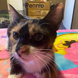 Photo of Pennie
