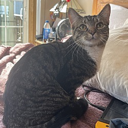 Photo of Momo