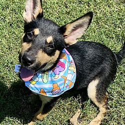 Photo of SMALLS