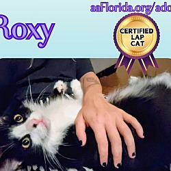 Thumbnail photo of Roxy #3