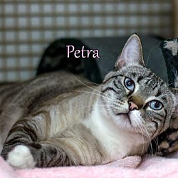 Thumbnail photo of Petra #2