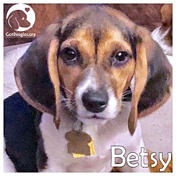 Thumbnail photo of Betsy #3