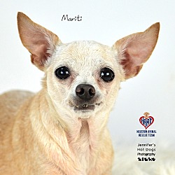 Photo of Mariti