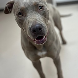 Photo of Matilda Lou