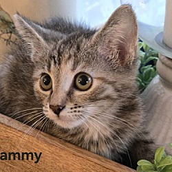 Thumbnail photo of Pammy (24-757) #4