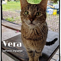 Thumbnail photo of Vera #2