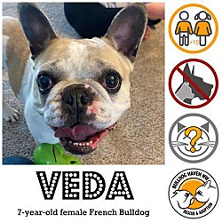Thumbnail photo of Veda #1