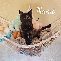Thumbnail photo of Nami #2