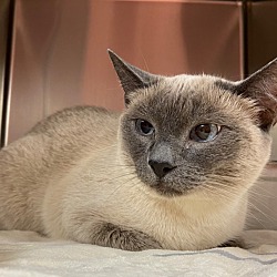 Photo of Auna