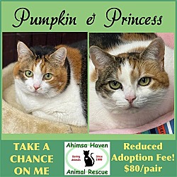 Thumbnail photo of Princess & Pumpkin #1