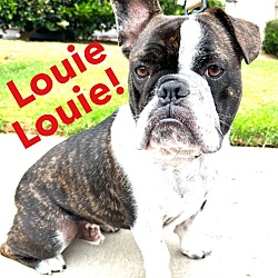 Photo of Louie  Louie