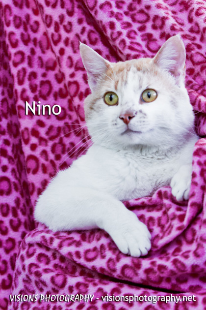 Photo of Nino