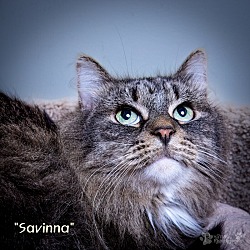 Photo of Savinna