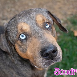 Thumbnail photo of Boudreaux #3