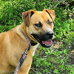 Photo of Stella