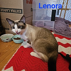 Photo of Lenora
