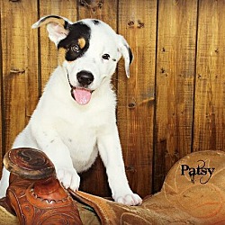 Thumbnail photo of Patsy #1