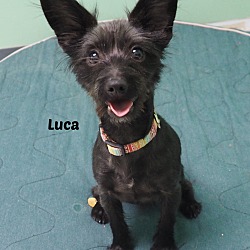 Photo of Luca