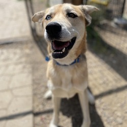 Photo of Jo (Bonded to Ozzy)