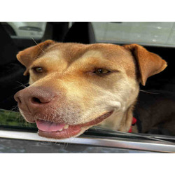 Photo of MIKKI