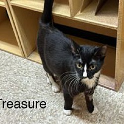 Thumbnail photo of Treasure #1