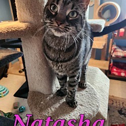 Photo of Natasha