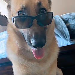 Photo of Tyson