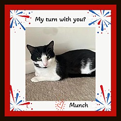 Thumbnail photo of Munch #2