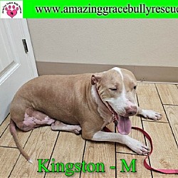 Thumbnail photo of Kingston #3