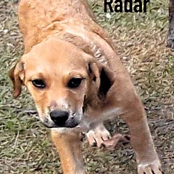 Photo of Radar