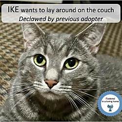 Thumbnail photo of Ike #1