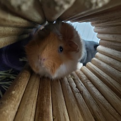 Photo of Mitzy