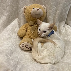 Photo of Aki