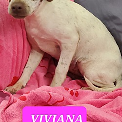 Photo of VIVIANA