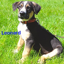 Photo of Leonard