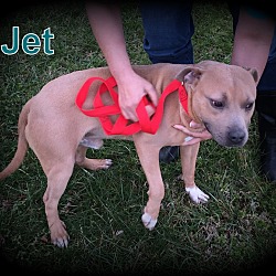 Thumbnail photo of Jet #3
