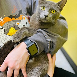 Photo of Winifred (In Foster)