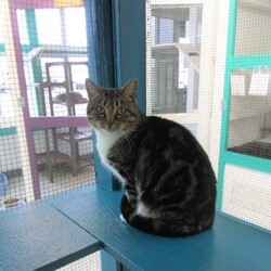 Photo of Molly