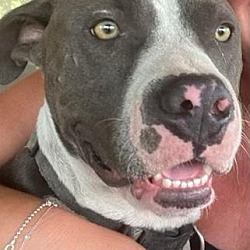 Photo of JAX