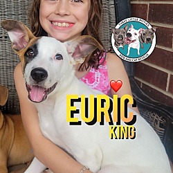 Thumbnail photo of Euric King Cutie Pie #1