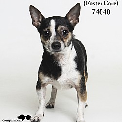 Thumbnail photo of Carmen  (Foster Care) #2