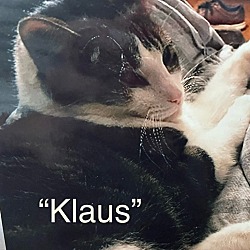 Photo of Klaus