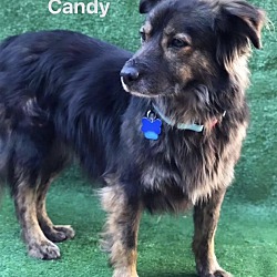 Thumbnail photo of Candy #3