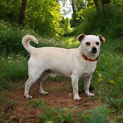 Photo of HAPPY PRINCE CHARLIE