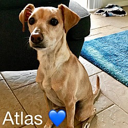 Thumbnail photo of Atlas #1
