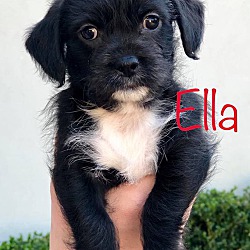 Photo of Ella
