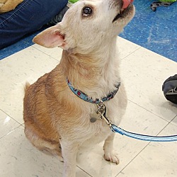 Thumbnail photo of Diego~ADOPTED! #2