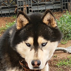 Photo of Max